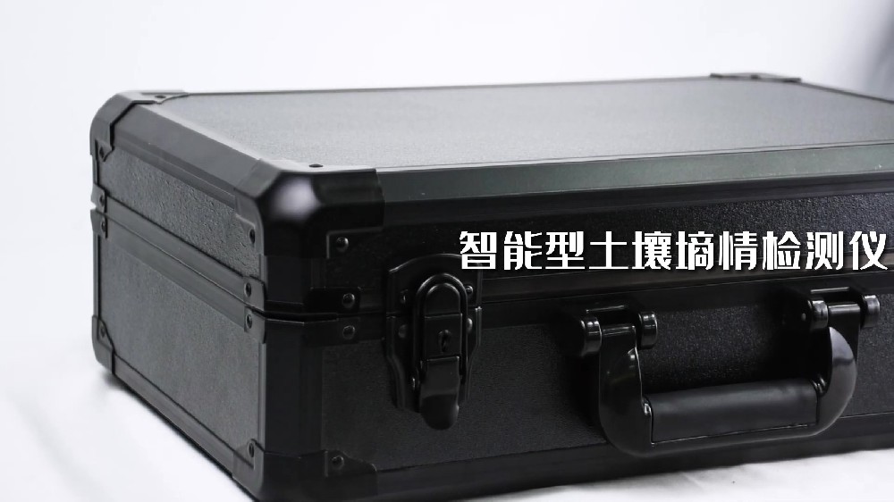 新澳网官方网站