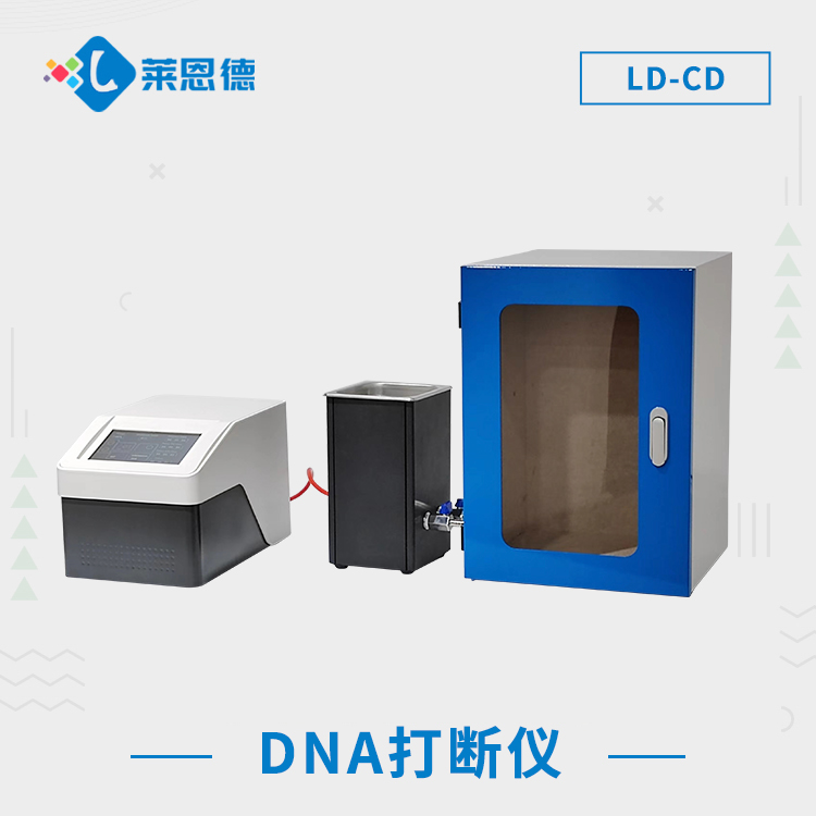 新澳网官方网站